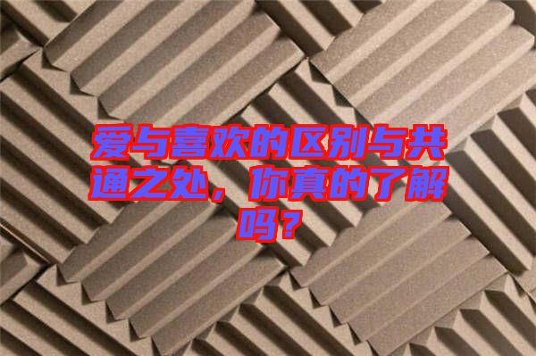 愛(ài)與喜歡的區(qū)別與共通之處，你真的了解嗎？