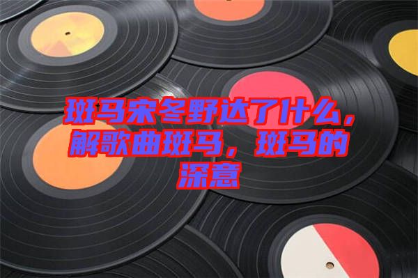 斑馬宋冬野達了什么，解歌曲斑馬，斑馬的深意