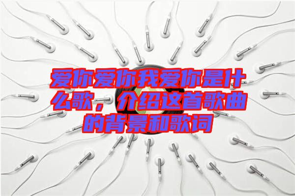 愛你愛你我愛你是什么歌，介紹這首歌曲的背景和歌詞