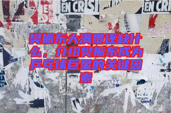 樊振東大滿貫還缺什么，介紹樊振東成為乒乓球巨星的關(guān)鍵因素