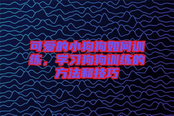 可愛的小狗狗如何訓(xùn)練，學(xué)習(xí)狗狗訓(xùn)練的方法和技巧