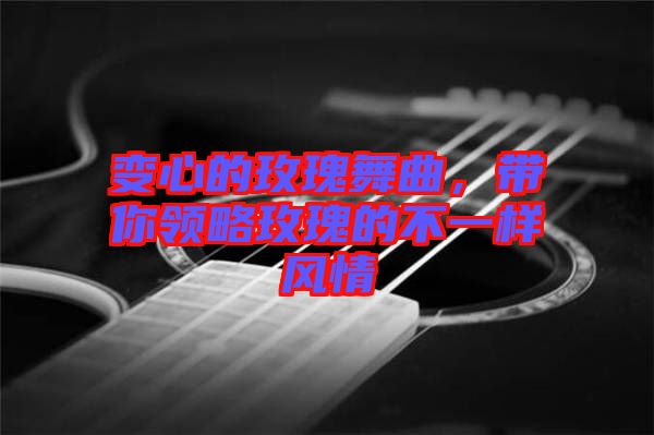 變心的玫瑰舞曲，帶你領(lǐng)略玫瑰的不一樣風(fēng)情