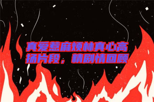 真愛惹麻煩林真心高揚(yáng)片段，精劇情回顧