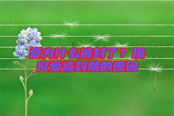 愛(ài)為什么被封了？探究愛(ài)被封禁的原因