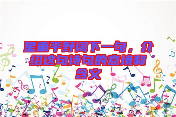 星垂平野闊下一句，介紹這句詩句的意境和含義