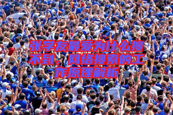 張學(xué)友最愛為什么搜不到，網(wǎng)絡(luò)搜索的工作原理解析