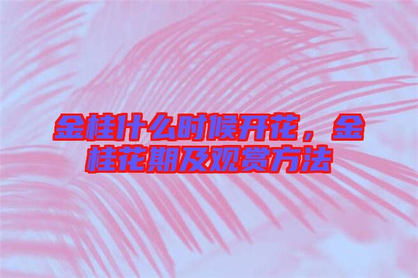 金桂什么時(shí)候開花，金桂花期及觀賞方法
