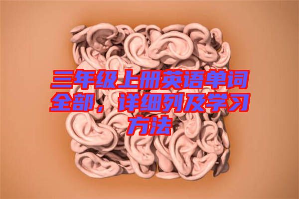 三年級上冊英語單詞全部，詳細列及學習方法