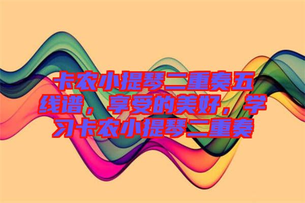 卡農(nóng)小提琴二重奏五線譜，享受的美好，學(xué)習(xí)卡農(nóng)小提琴二重奏