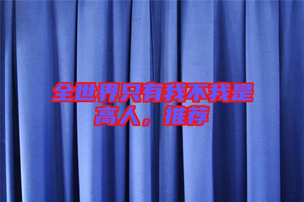 全世界只有我不我是高人，推薦