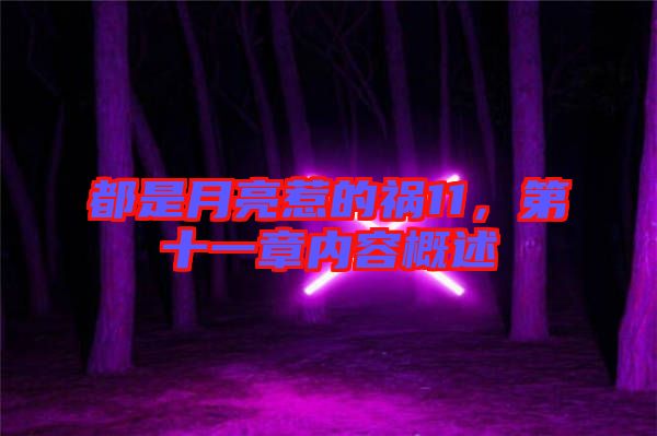 都是月亮惹的禍11，第十一章內(nèi)容概述