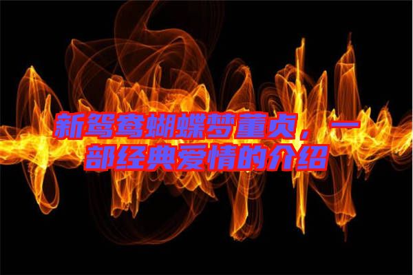 新鴛鴦蝴蝶夢董貞，一部經(jīng)典愛情的介紹