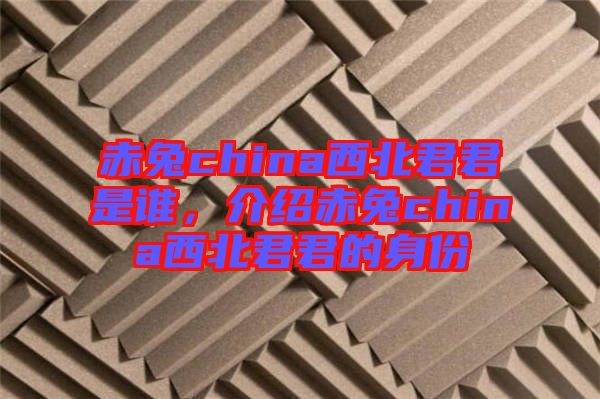 赤兔china西北君君是誰，介紹赤兔china西北君君的身份