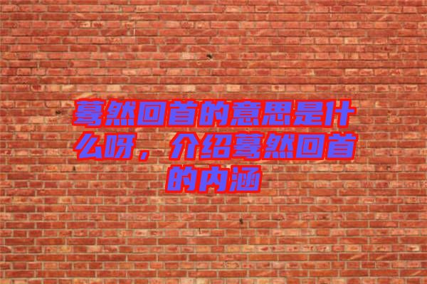 驀然回首的意思是什么呀，介紹驀然回首的內(nèi)涵