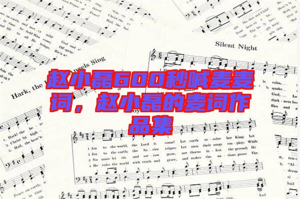 趙小磊600秒喊麥麥詞，趙小磊的麥詞作品集