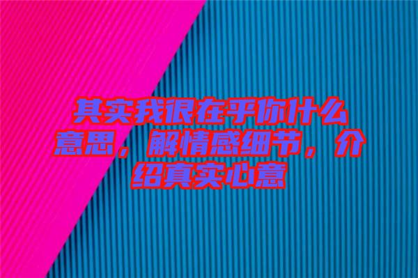 其實(shí)我很在乎你什么意思，解情感細(xì)節(jié)，介紹真實(shí)心意