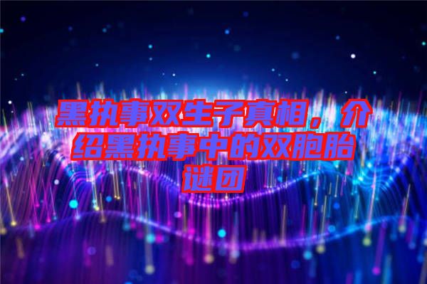 黑執(zhí)事雙生子真相，介紹黑執(zhí)事中的雙胞胎謎團(tuán)