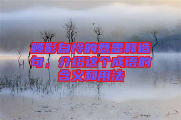 顧影自憐的意思和造句，介紹這個(gè)成語的含義和用法