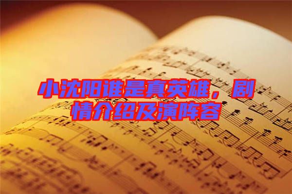 小沈陽誰是真英雄，劇情介紹及演陣容