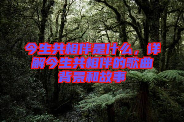 今生共相伴是什么，詳解今生共相伴的歌曲背景和故事