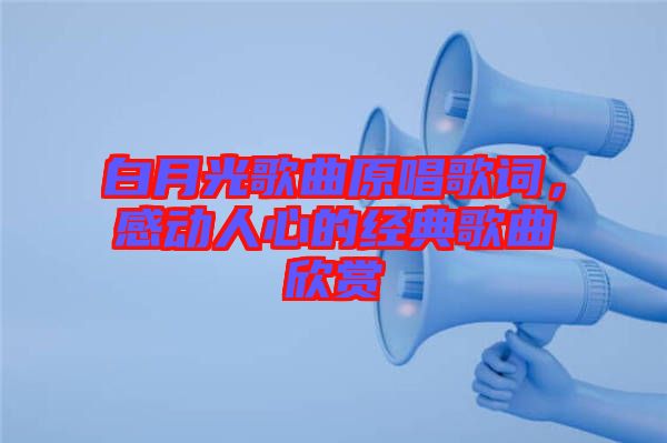 白月光歌曲原唱歌詞，感動人心的經(jīng)典歌曲欣賞