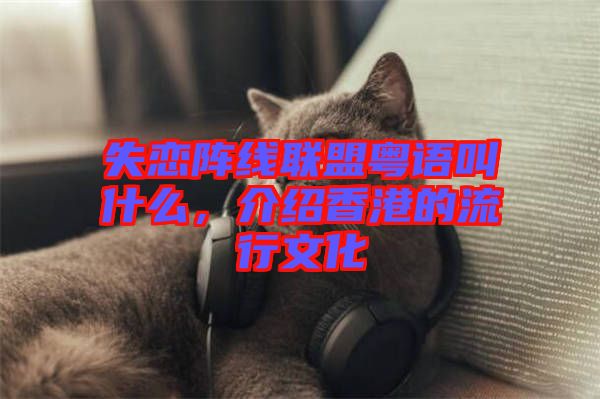失戀陣線聯(lián)盟粵語叫什么，介紹香港的流行文化