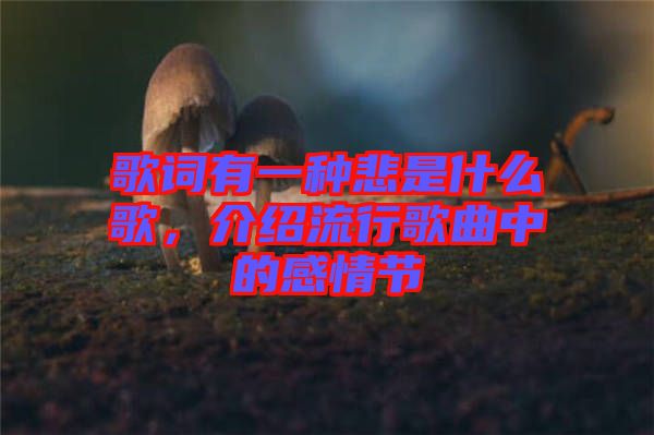 歌詞有一種悲是什么歌，介紹流行歌曲中的感情節(jié)