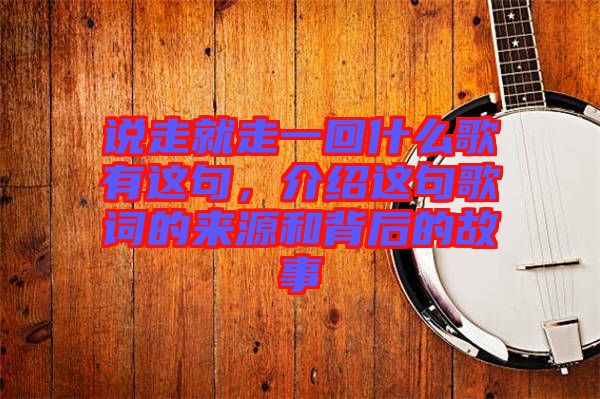 說走就走一回什么歌有這句，介紹這句歌詞的來源和背后的故事