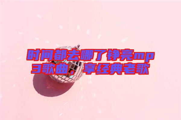 時(shí)間都去哪了錚亮mp3歌曲，享經(jīng)典老歌