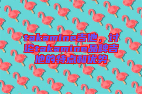 takamine吉他，討論takamine品牌吉他的特點和優(yōu)勢