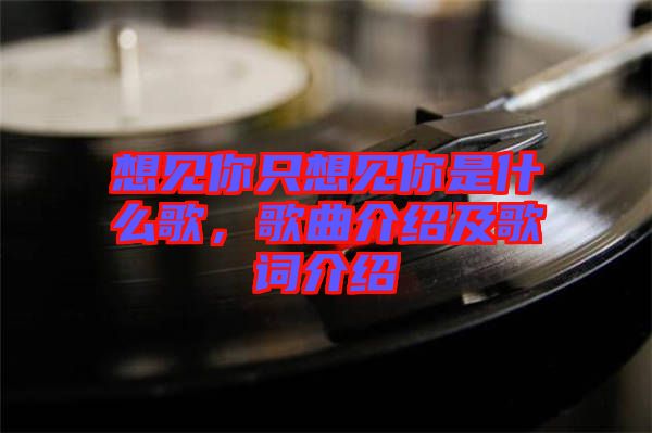 想見你只想見你是什么歌，歌曲介紹及歌詞介紹