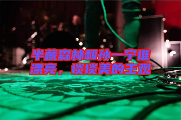 半藏森林和孫一寧誰漂亮，談?wù)劽赖闹饔^