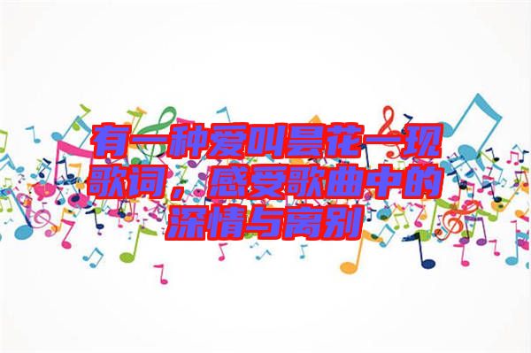 有一種愛叫曇花一現(xiàn)歌詞，感受歌曲中的深情與離別