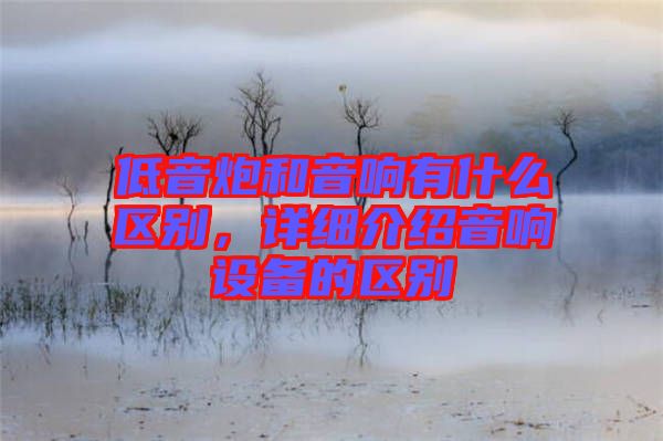 低音炮和音響有什么區(qū)別，詳細(xì)介紹音響設(shè)備的區(qū)別