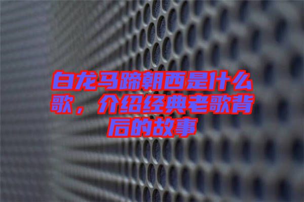 白龍馬蹄朝西是什么歌，介紹經(jīng)典老歌背后的故事