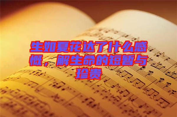 生如夏花達了什么感慨，解生命的短暫與珍貴