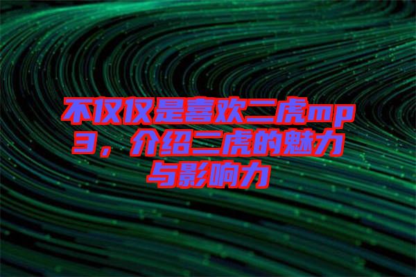 不僅僅是喜歡二虎mp3，介紹二虎的魅力與影響力