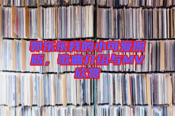郭樂樂我的小可愛原版，歌曲介紹與MV欣賞