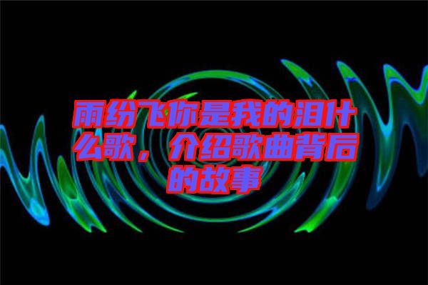 雨紛飛你是我的淚什么歌，介紹歌曲背后的故事