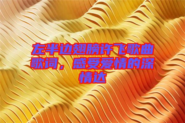 左半邊翅膀許飛歌曲歌詞，感受愛情的深情達(dá)