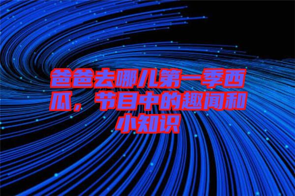 爸爸去哪兒第一季西瓜，節(jié)目中的趣聞和小知識