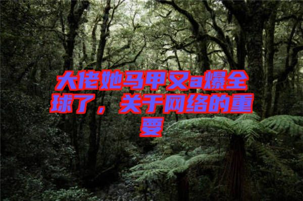 大佬她馬甲又a爆全球了，關(guān)于網(wǎng)絡(luò)的重要