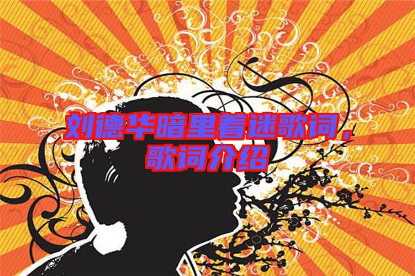 劉德華暗里著迷歌詞，歌詞介紹