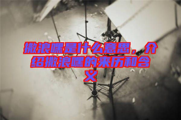 撒浪嘿是什么意思，介紹撒浪嘿的來(lái)歷和含義