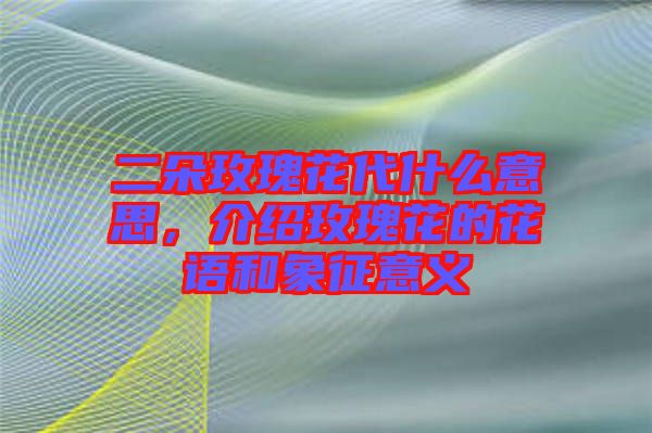 二朵玫瑰花代什么意思，介紹玫瑰花的花語和象征意義