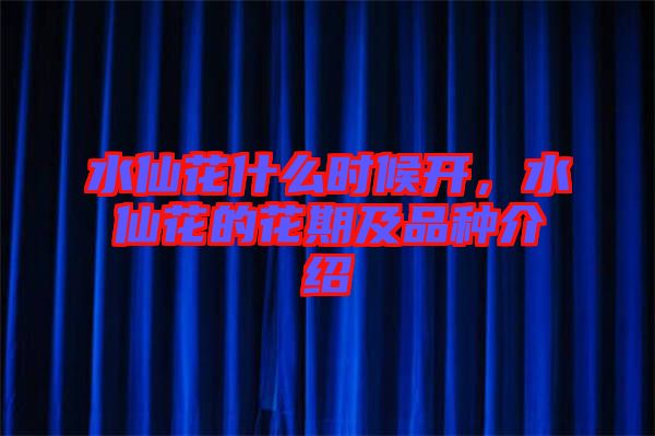 水仙花什么時候開，水仙花的花期及品種介紹