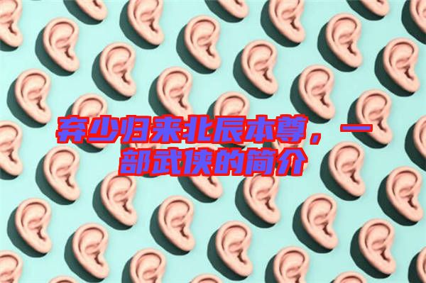 棄少歸來(lái)北辰本尊，一部武俠的簡(jiǎn)介