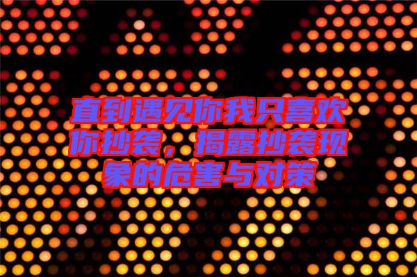 直到遇見你我只喜歡你抄襲，揭露抄襲現(xiàn)象的危害與對策