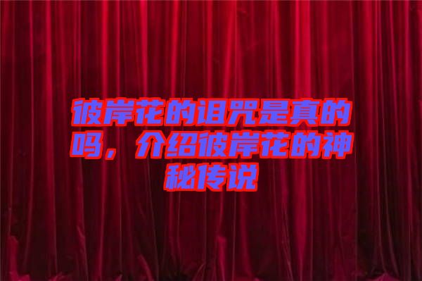 彼岸花的詛咒是真的嗎，介紹彼岸花的神秘傳說