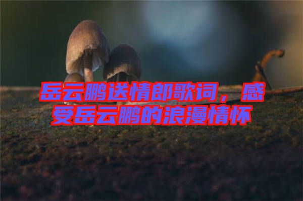 岳云鵬送情郎歌詞，感受岳云鵬的浪漫情懷